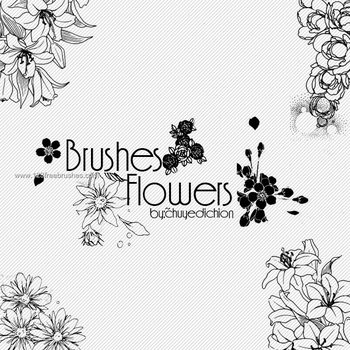 Floral Art Brushes Photoshop