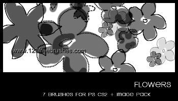 Flower Brushes Cs5