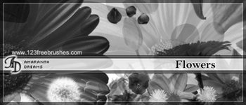 Flower Brushes Cs6