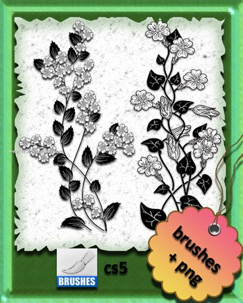 Flower Brushes Download