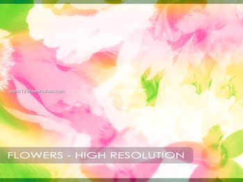 Flower Design Brushes For Photoshop