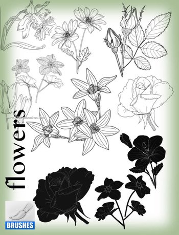 Floral Brushes Deviantart