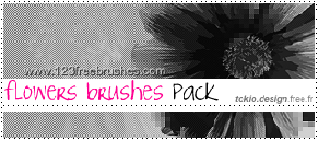 Floral Elements Brushes