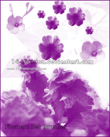 Flower Brushes For Photoshop Cc