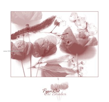 Floral Brushes Mega Set