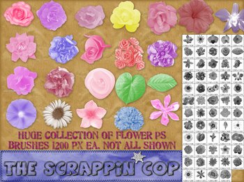 Flower Brushes Photoshop Cs5