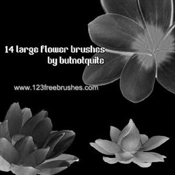 Flower Brushes Photoshop Cs4