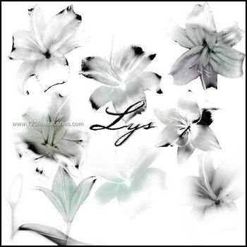 Free Photoshop 7 Flower Brushes Download