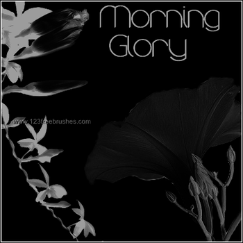 Free Photoshop 7 Flower Brushes Download