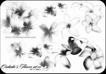 Flower Brushes Deviantart