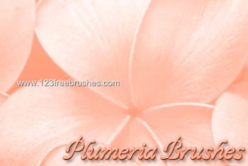 Flower Brushes Cs