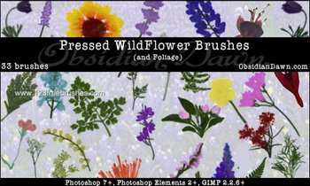 Flower Design Brushes For Photoshop Cs5