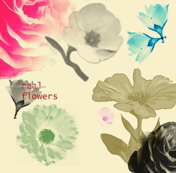 Flower Brushes In Photoshop Free Download