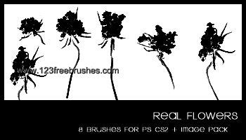 Floral Brushes In Photoshop Free Download