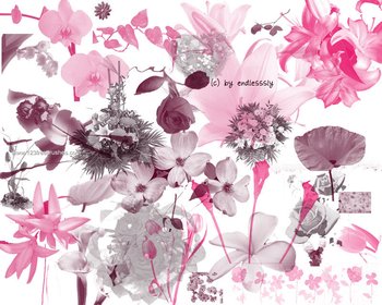 Floral Brushes In Photoshop Cs5