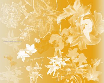 Flower Brushes Photoshop Mac
