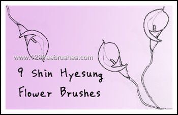 Flower Ornaments Brushes