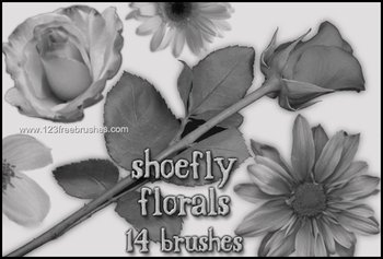 Flower Ornaments Brushes Photoshop