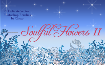 Flower Brushes Photoshop Cs5