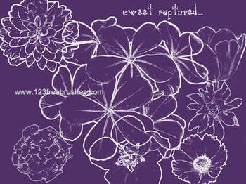 Flower Brushes Photoshop Cs5 Free Download
