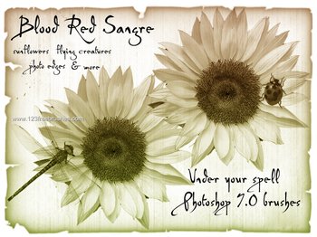 Ps 6 Flower Brushes Free