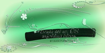 Flower Brushes Photoshop 7 Free Download