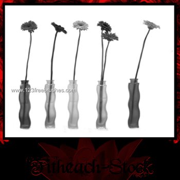 Flower Brushes Photoshop 7
