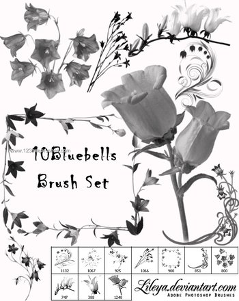 Flower Abstract Brushes