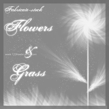 Flowers and Grass