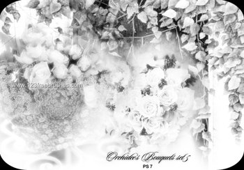 Flowers Bouquet