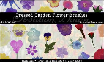 Garden Flowers