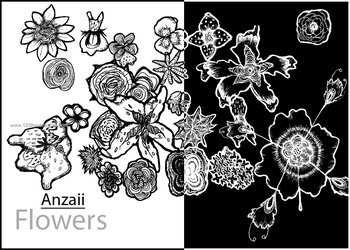 Hand Drawn Flower