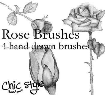 Hand Drawn Rose