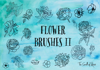 Hand Drawn Rose Flowers