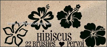 Hibiscus