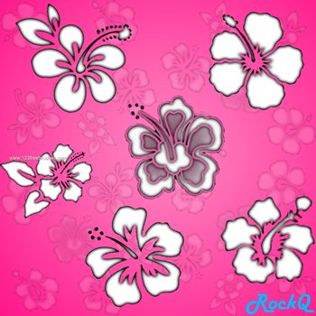 Hibiscus Flowers