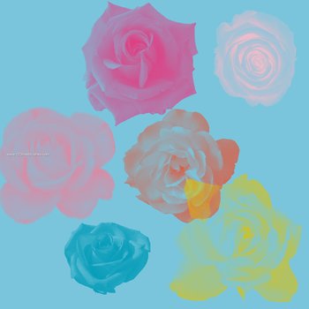Home Grown Roses