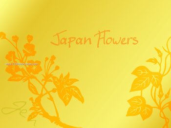 Japan Flower