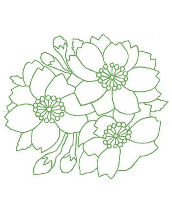 Japanese Flowers