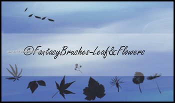 Leaf and Flowers