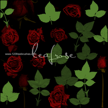 Leaf Rose