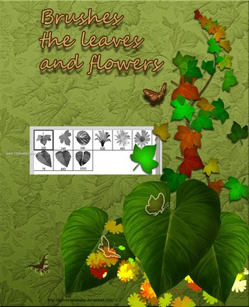 Leaves and Flowers