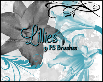 Lily