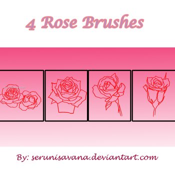 Line Art Rose