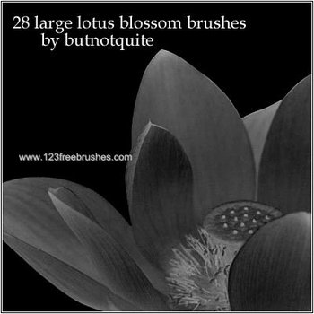 Lotus