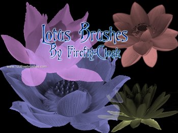 Lotus