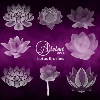 Lotus