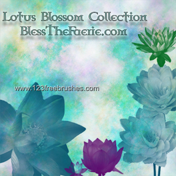 Lotus Blossom
