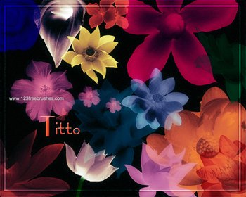 Lotus Flower