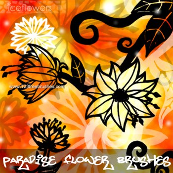 Paradise Flower